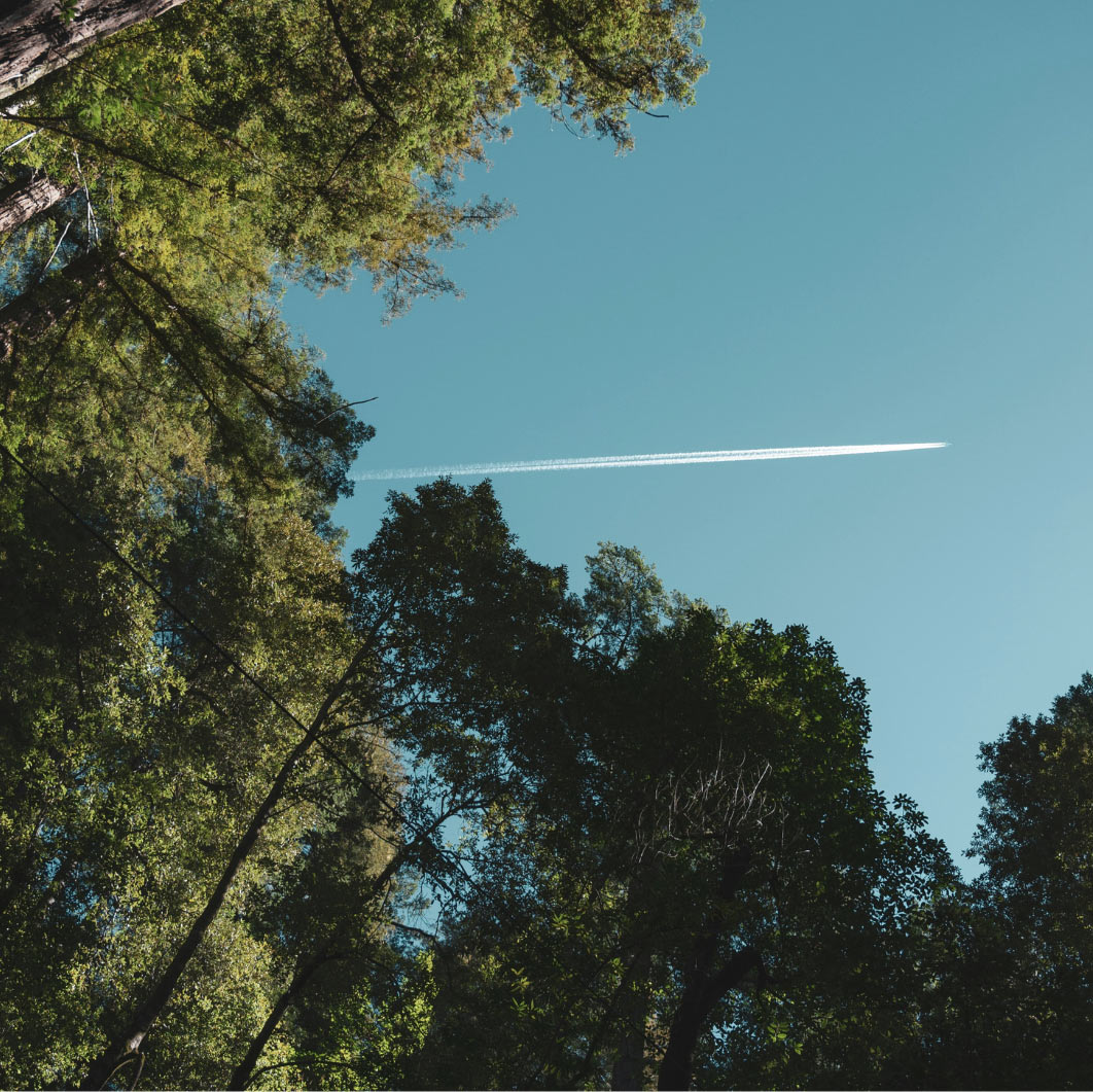 Navigating responsibility: carbon offsetting, reduction and transparency at AXIS Aviation